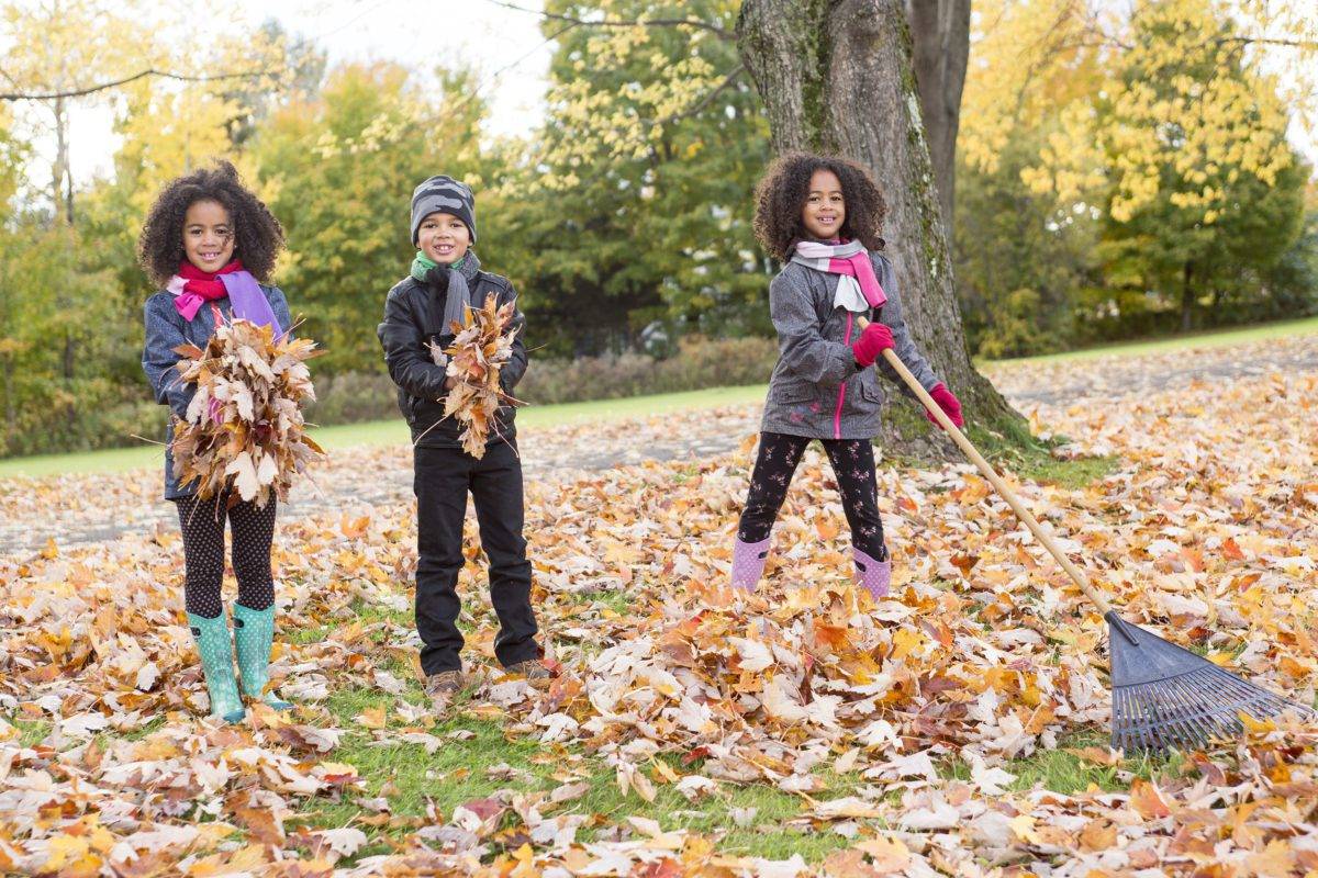 The Childs on the leaf season. The autumn season